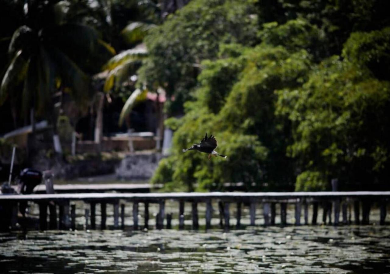 Lagoon Special Suite: Bikes & Kayaks! Bacalar Esterno foto